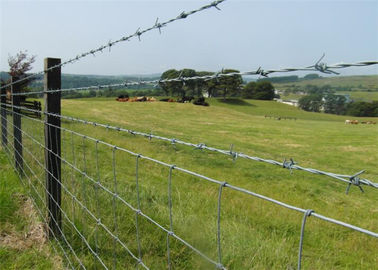Industrial Security Hot Dipped Steel Barbed Wire Heavy Duty Great Protection