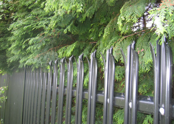 70 мм W Pale 3,0 мм Hot Dip Galvanized Steel Palisade Fencing для жилищной безопасности